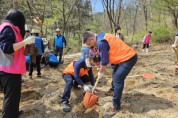 한국중앙자원봉사센터, 온라인에서 심은 나무 실제 숲으로 조성