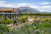 뉴질랜드 무역산업진흥청 ‘지구의 날’ 맞아 뉴질랜드의 지속가능한 와인 산업 발표