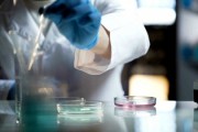 노보텍, 이상지질혈증과 비소세포폐암 관련 글로벌 임상시험 환경 보고서 발표